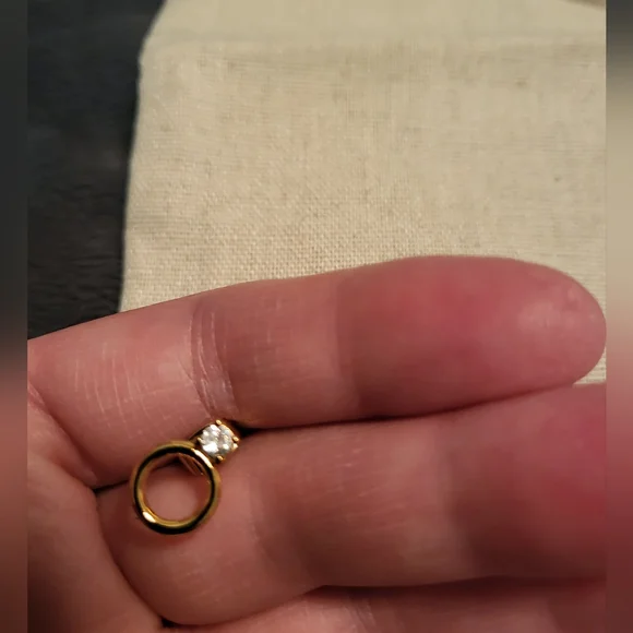 **** SOLD ***** Massimo Dutti Earrings Brand New with bag - Picture 4 of 8